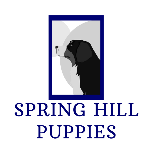 Spring Hill Puppies